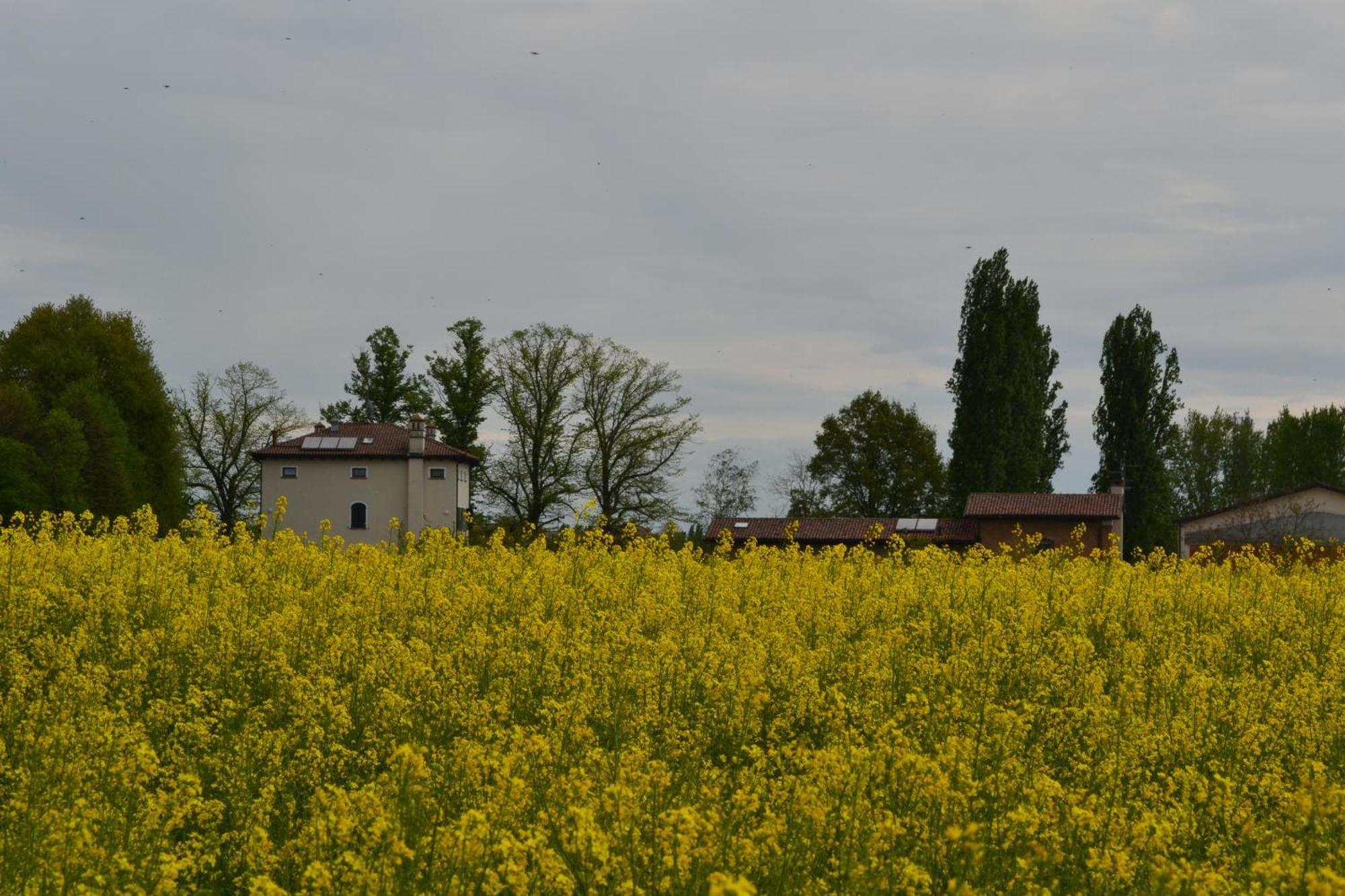 Monteborre Villa Cento  Kültér fotó